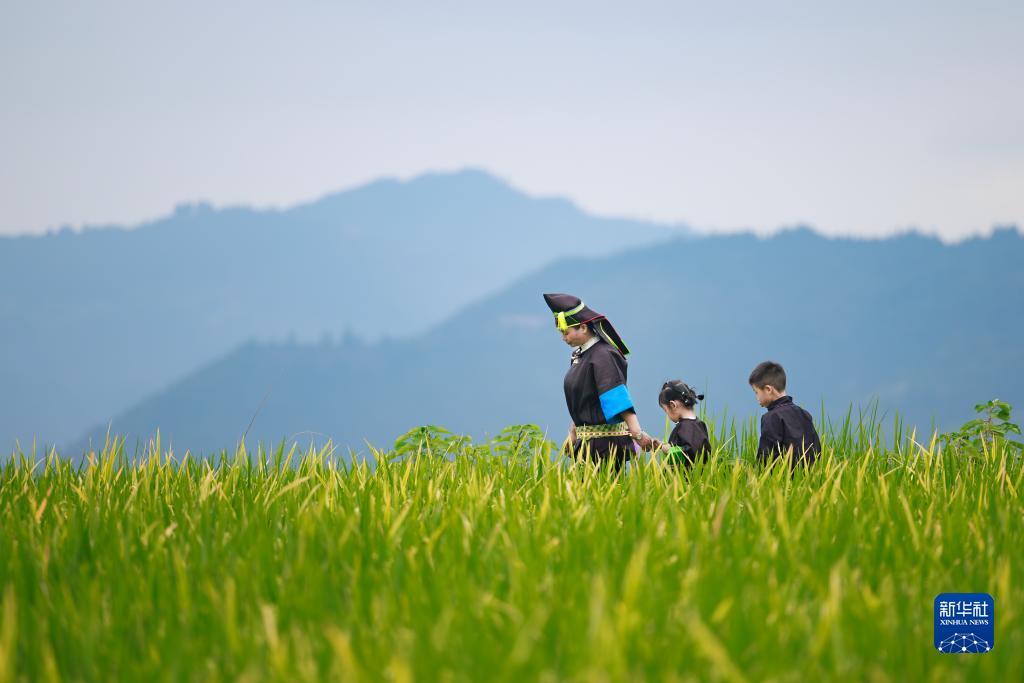 凤凰游戏客服电话